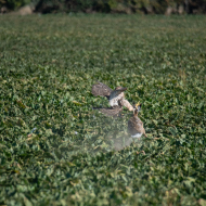 260_7546