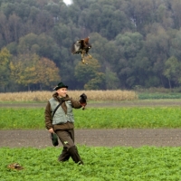 Nicht immer läuft er Hase dorthin wo man es erwartet