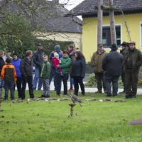 Eggendorfer Freunde