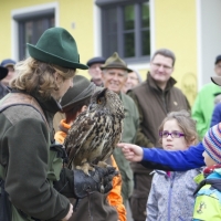 Der Uhu beeindruckt alle