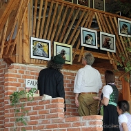 Die Fotoausstellung von Franz Hammer findet Beachtung