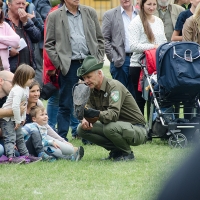 Greifvögel aus nächster Nähe