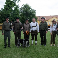 Falkner und Hunde