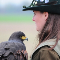 Wüstenbussard Dyami und Falknerin Barbara