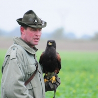 Ordenspräsident Martin und Wüstenbussard Heya