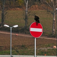 Ich darf da nicht hinein
