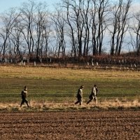 Auf der Suche nach Feldhasen