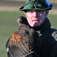 Willi mit Harris Hawk