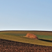 Schönheit des Reviers