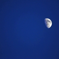 Mond