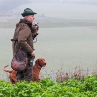 Falke, Falkner und Hund machen sich auf den Weg