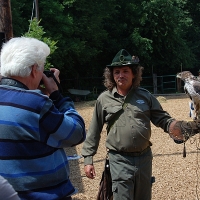 Der Habichtsadler ist ein beliebtes Fotomotiv