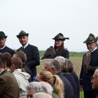 Die Falkner des Österreichischen Falknerordens