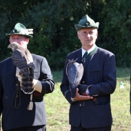 ÖFO Falkner