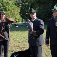 ÖFO Falkner