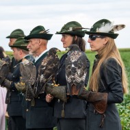 Falkner des ÖFO