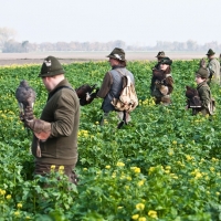 Die Falkner auf der Suche nach ihrer Beute