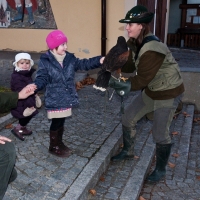 Selbst die jüngsten finden gefallen an den Greifvögeln und können sie hautnah erleben