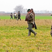Die Jagd beginnt