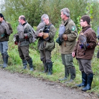 Falkner lauschen den Worten