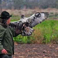 Christian mit Habichtsadler