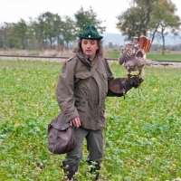 Anspannung bei Falkner und Vogel