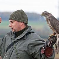 Vorbereitung für den Jagdflug