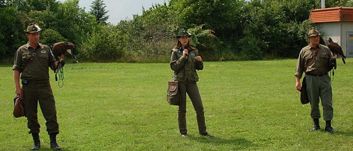 Greifvogelpräsentation und Informationsstand des Österreichischen Falknerordens beim Bezirksjägertag Korneuburg 2008